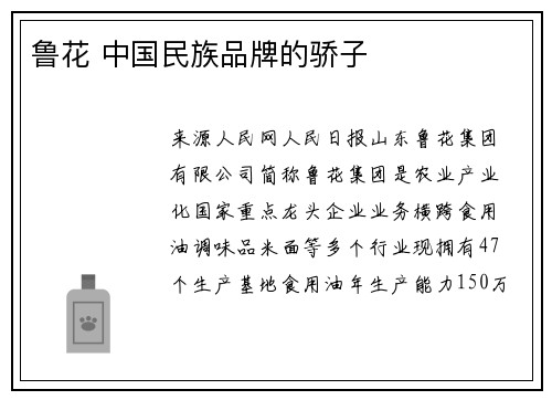 鲁花 中国民族品牌的骄子