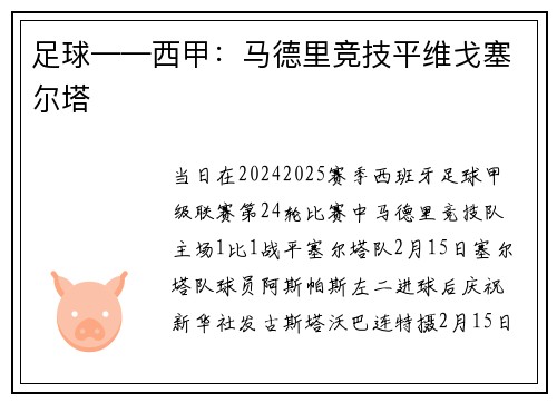足球——西甲：马德里竞技平维戈塞尔塔