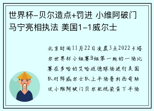 世界杯-贝尔造点+罚进 小维阿破门 马宁亮相执法 美国1-1威尔士